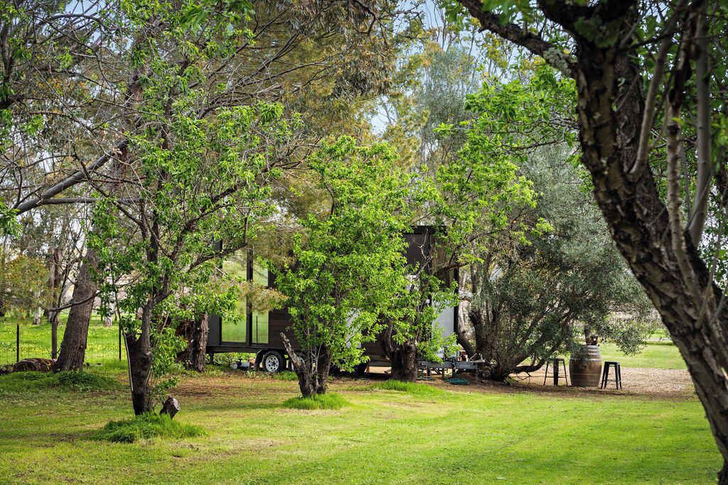 Photo of Outdoor in Willunga South