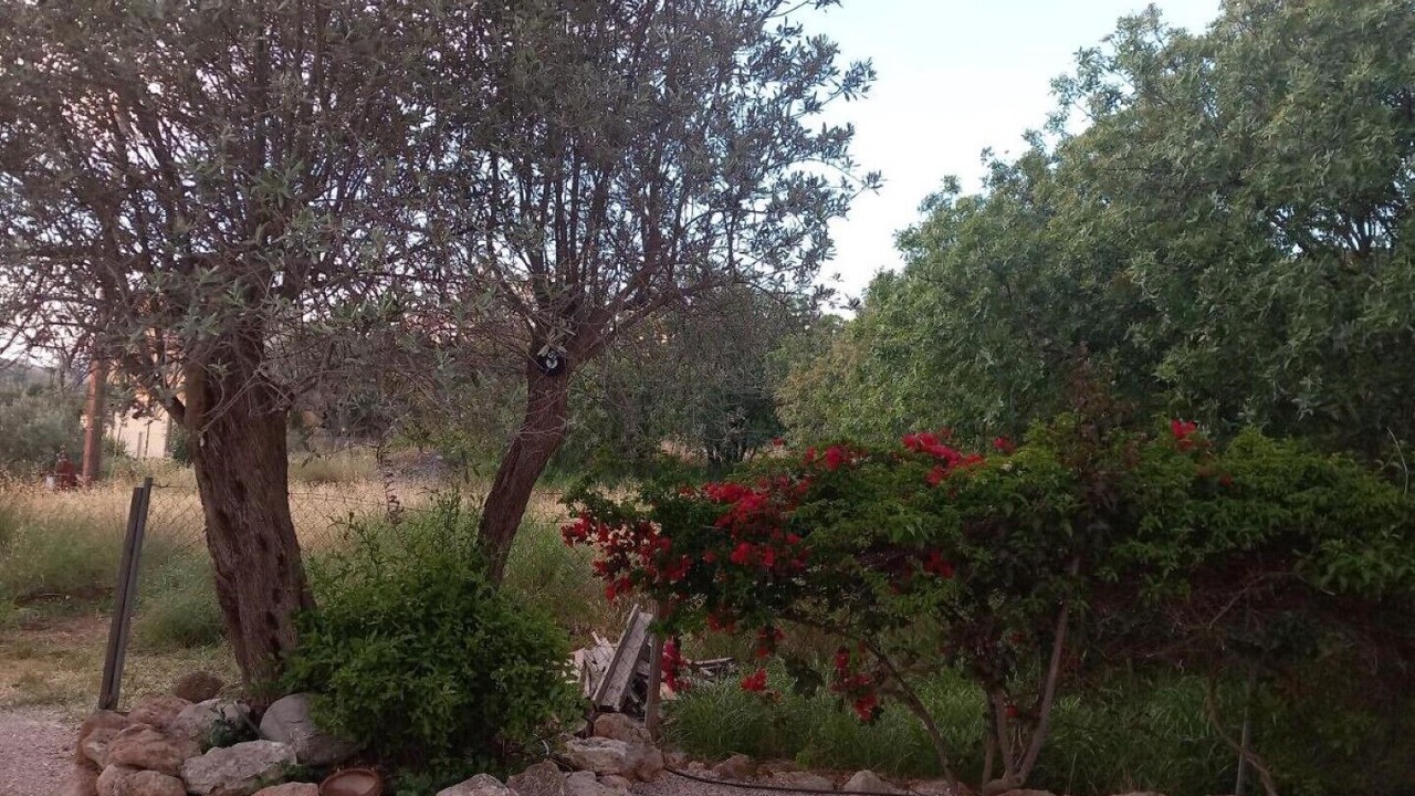 Photo of Others in Kalathos