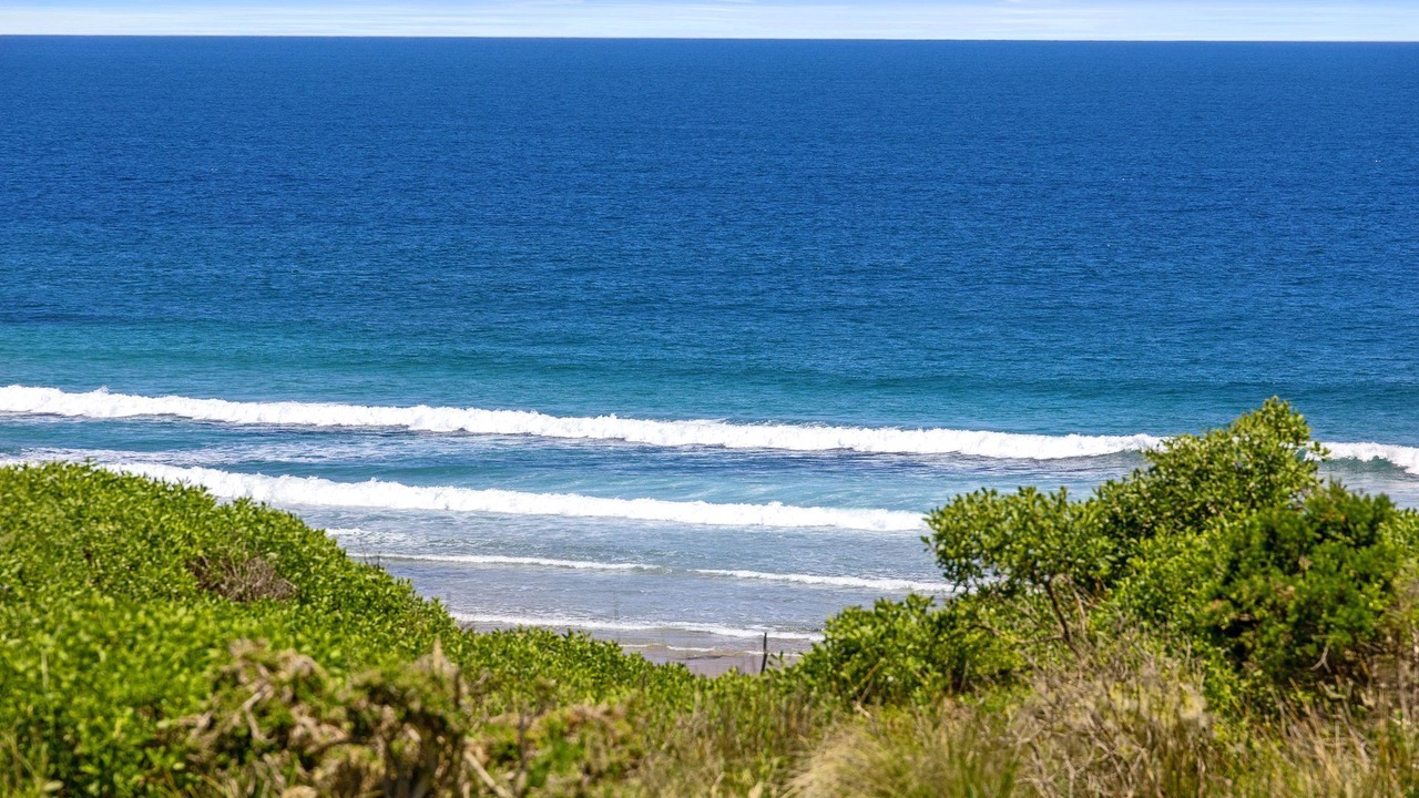 Photo of Others in Ventnor