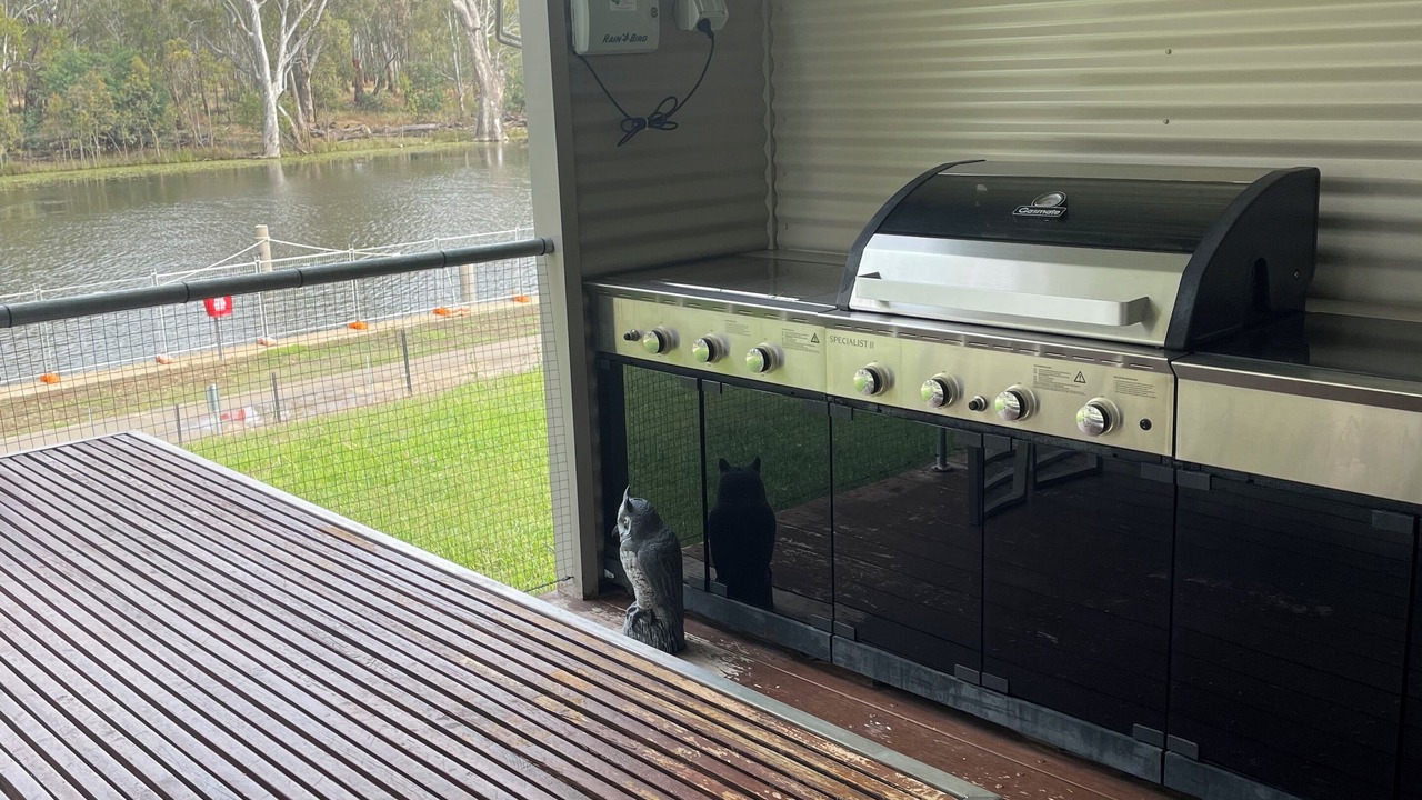 Photo of Outdoor in Moama
