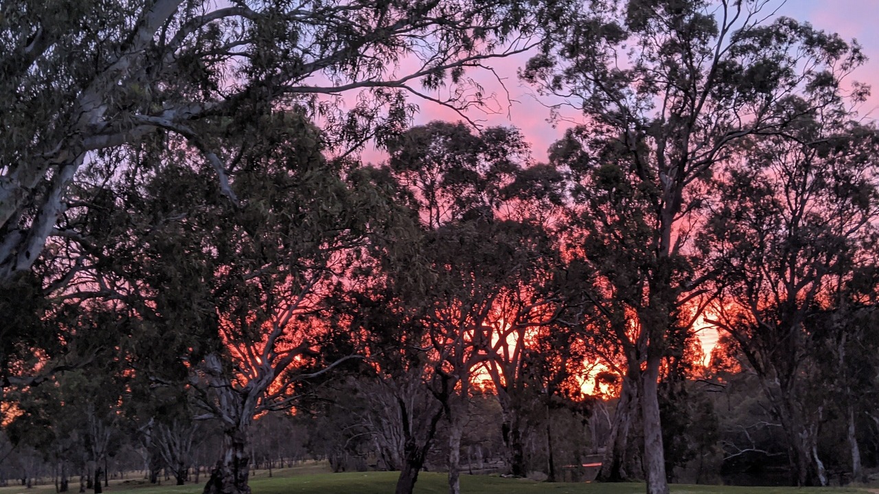 Photo of Others in Moama
