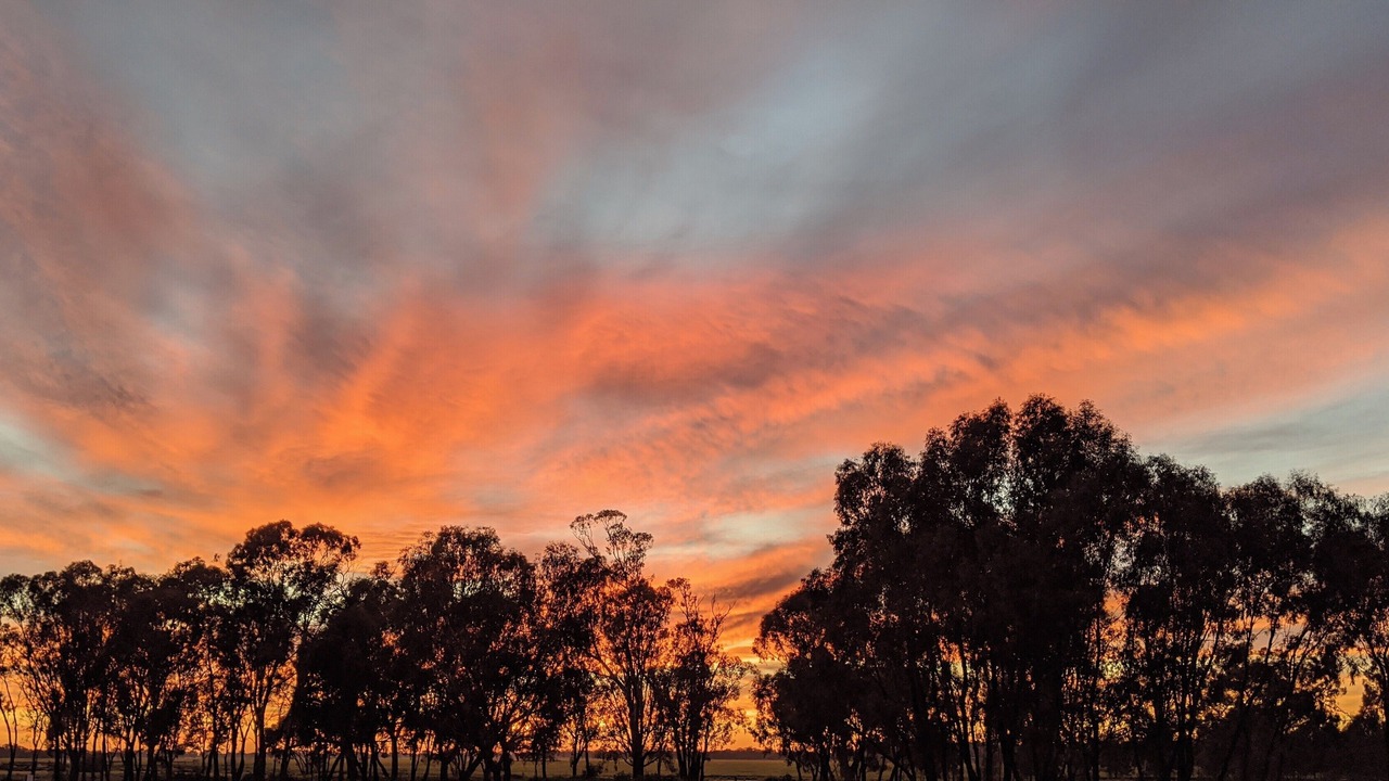 Photo of Others in Moama