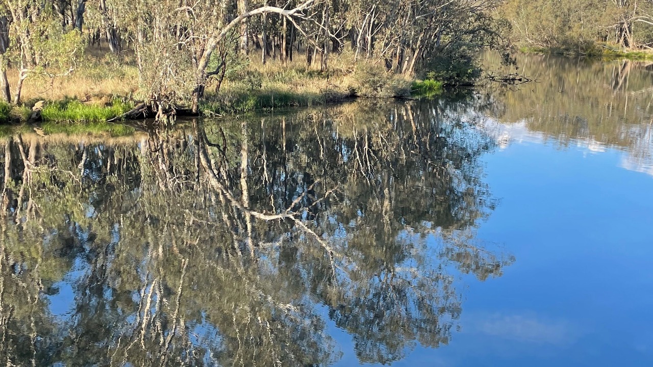 Photo of Others in Moama