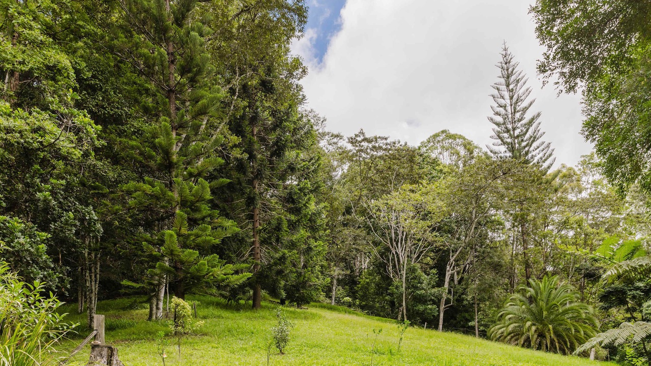 Photo of Outdoor in Smiths Creek
