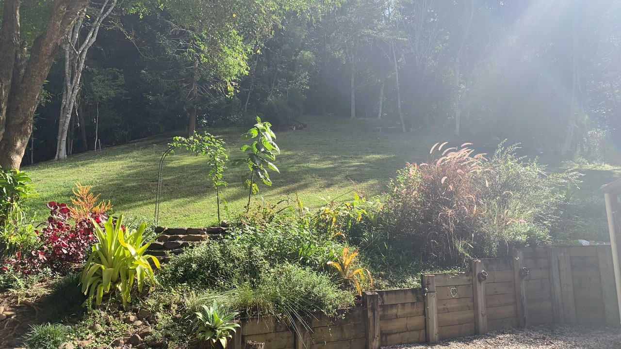 Photo of Outdoor in Smiths Creek