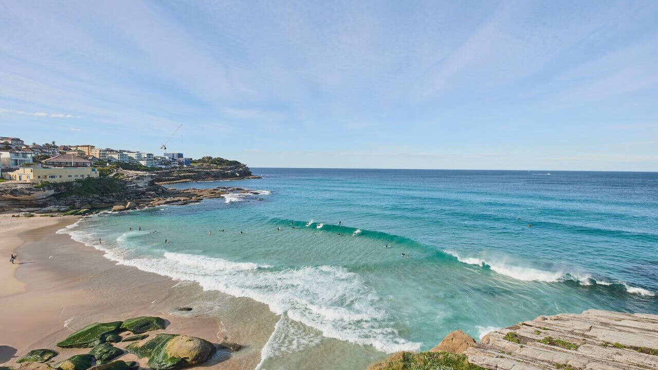 Photo of Others in Tamarama
