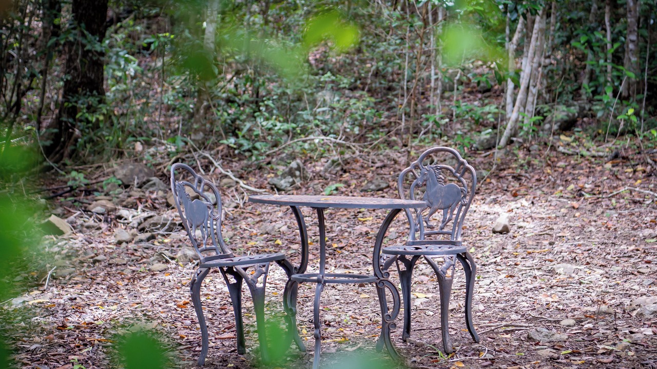Photo of Outdoor in Strathdickie