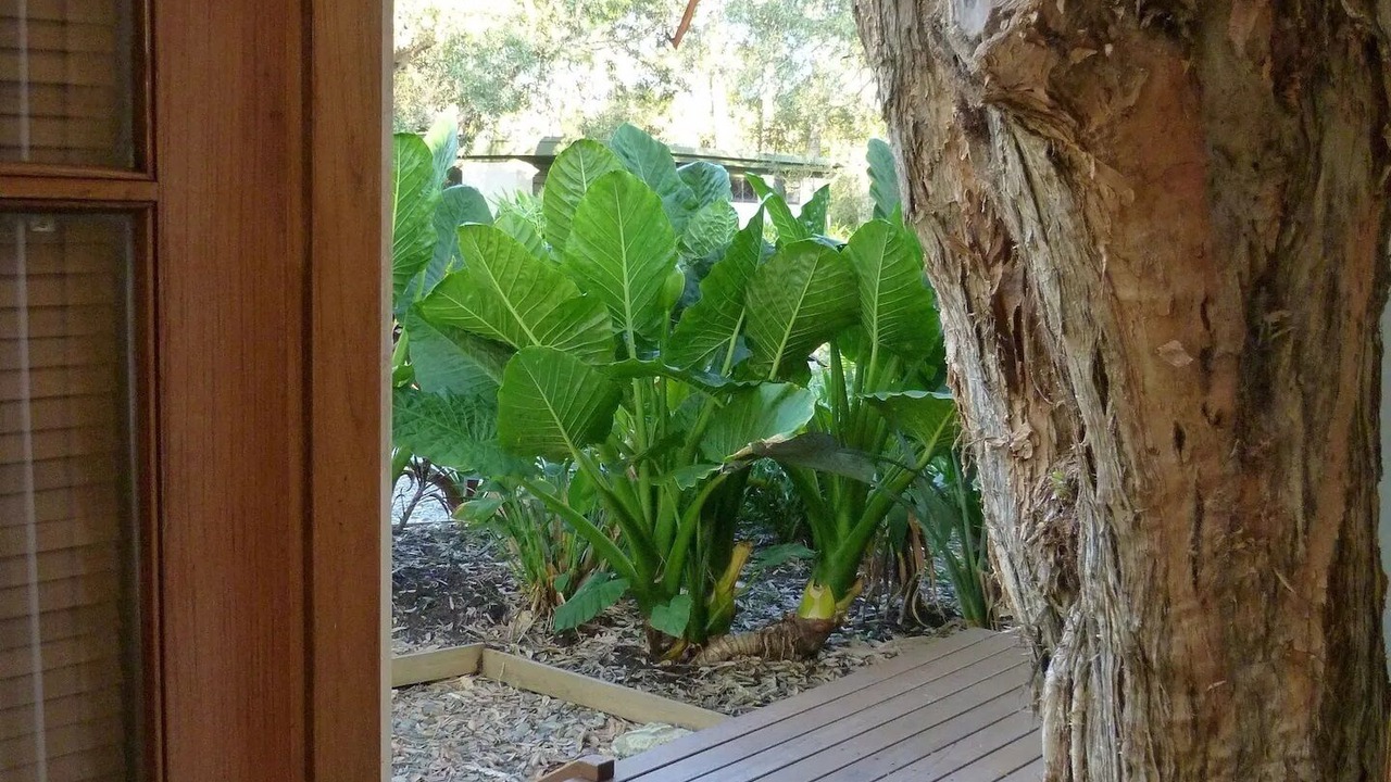 Photo of Outdoor in Mullaway