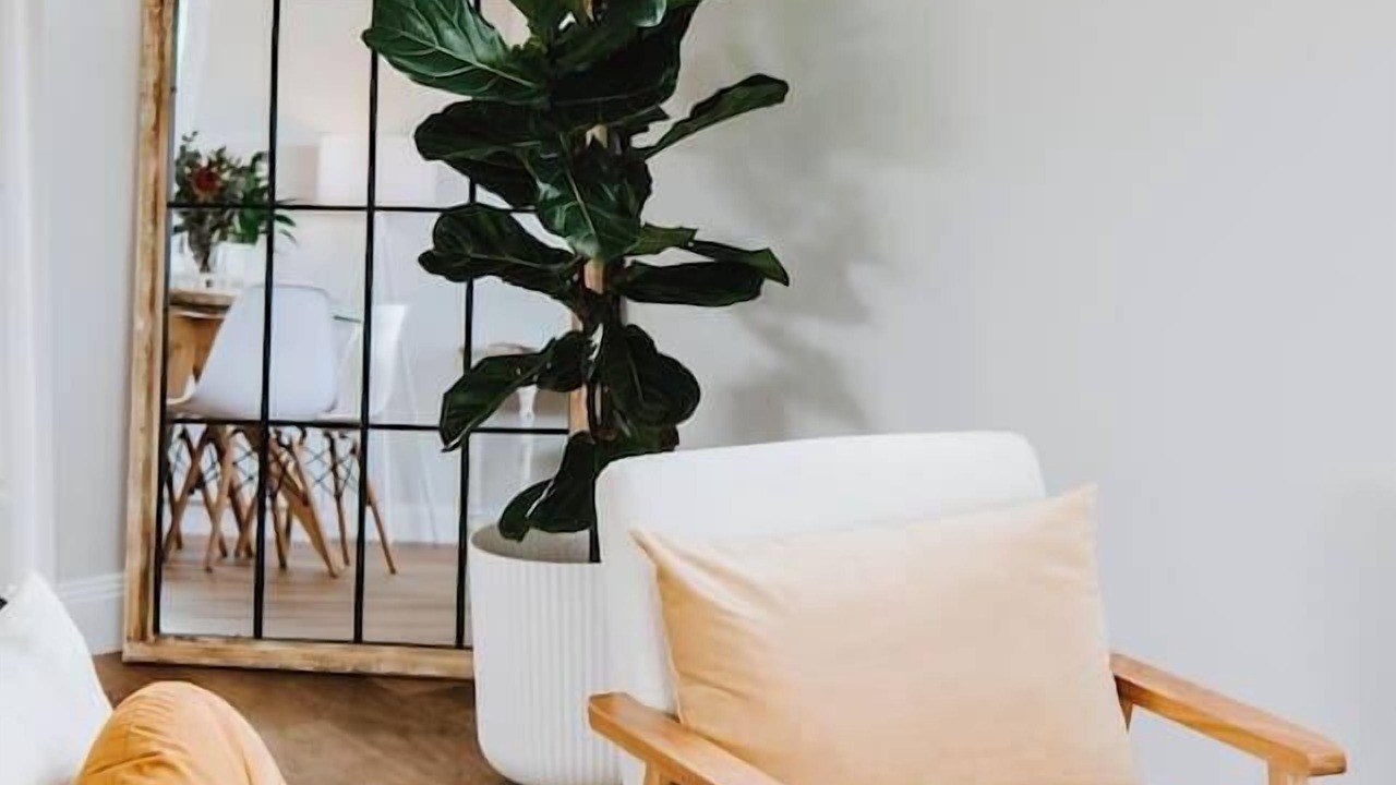 Photo of Livingroom in Bombira