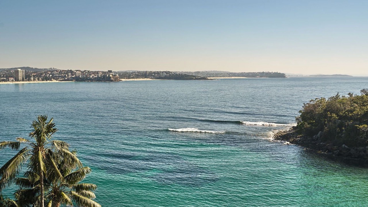Photo of Others in Manly