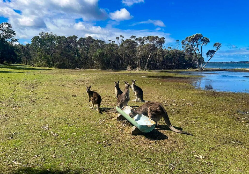 Photo of Others in Forge Creek