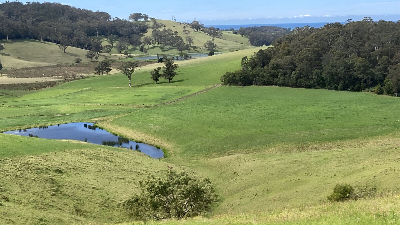 Photo of Others in Central Tilba