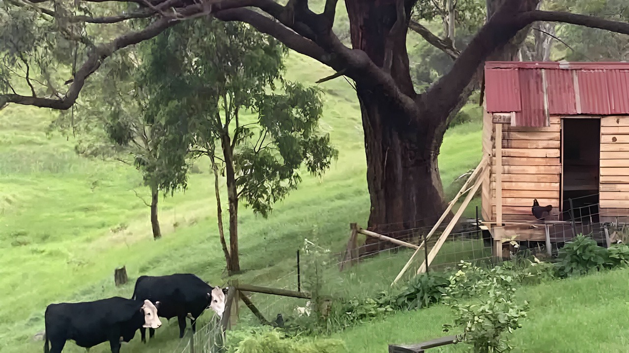 Photo of Others in Central Tilba