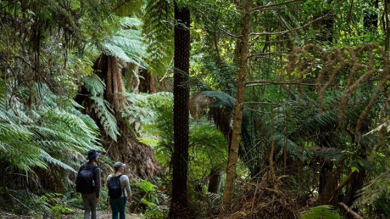 Photo of Others in Central Tilba