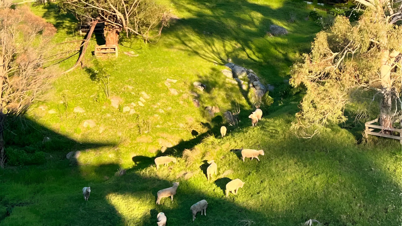 Photo of Others in Central Tilba