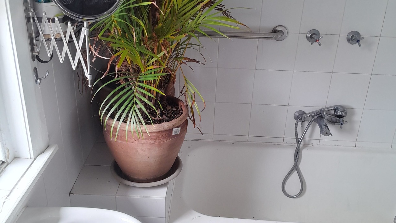 Photo of Bathroom in Randwick