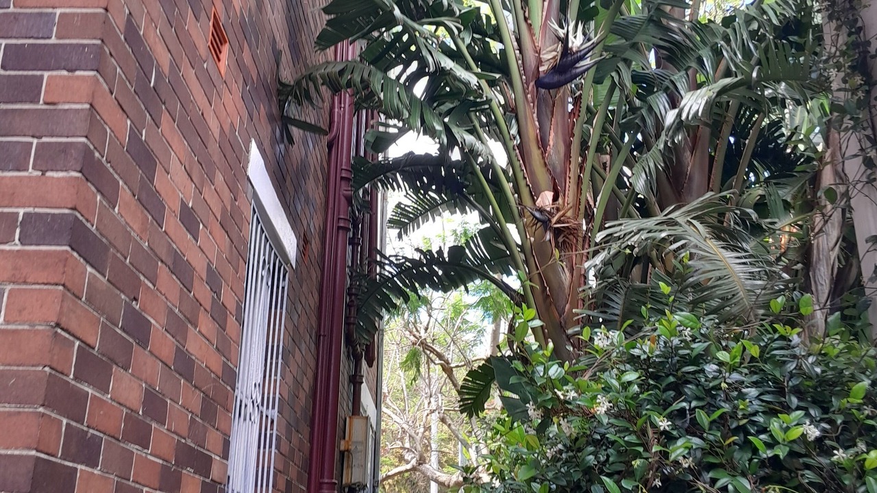 Photo of Outdoor in Randwick