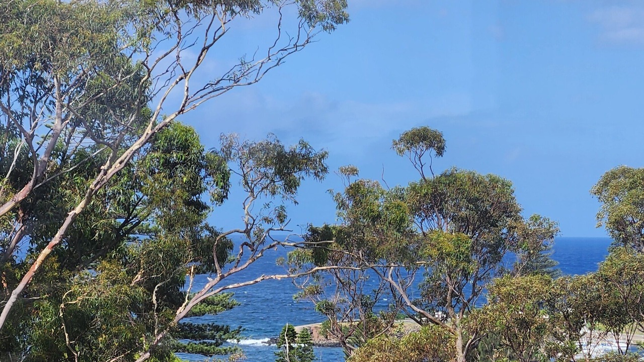 Photo of Others in Kiama