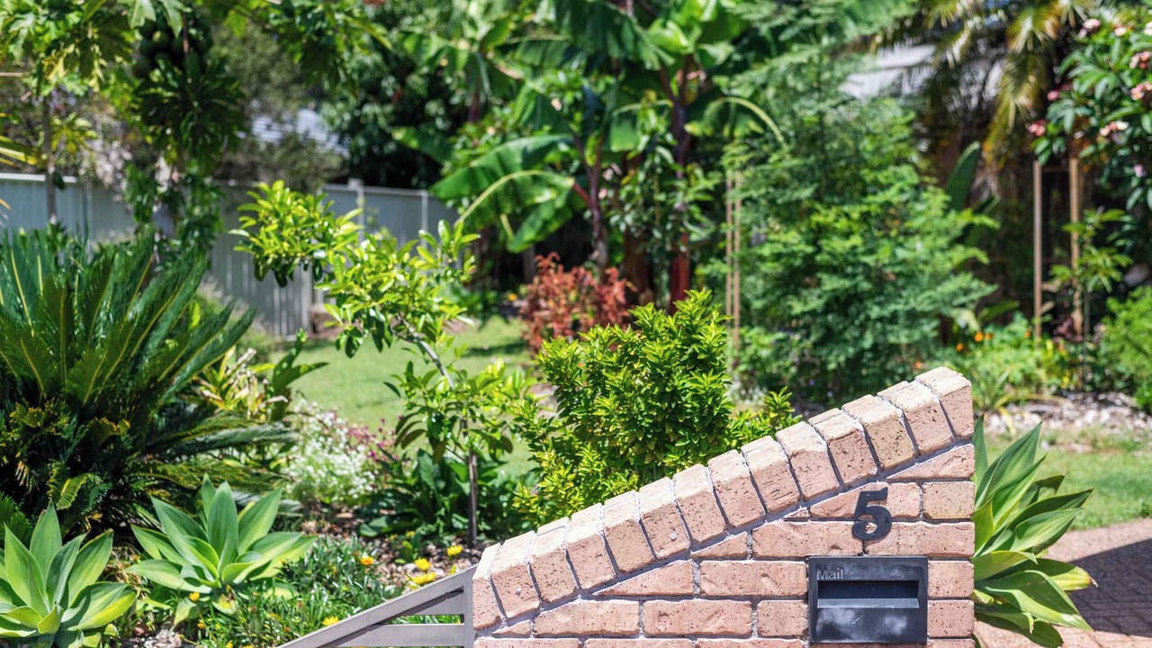 Photo of Outdoor in Yamba
