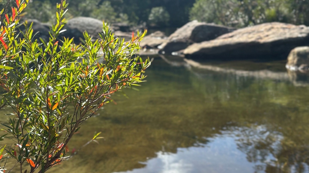 Photo of Others in Bundeena