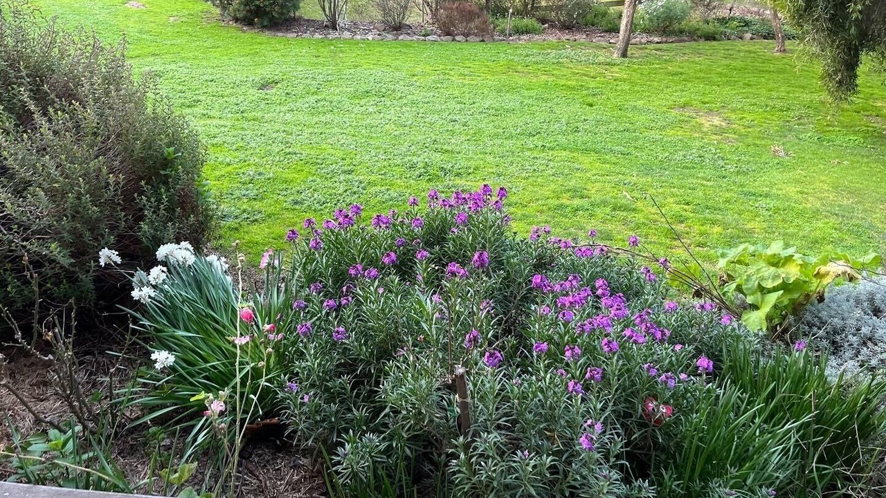 Photo of Outdoor in Warrenbayne