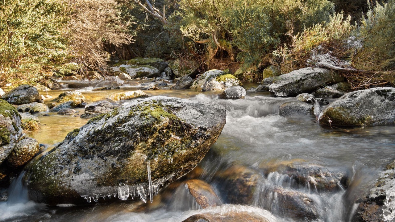 Photo of Outdoor in Thredbo
