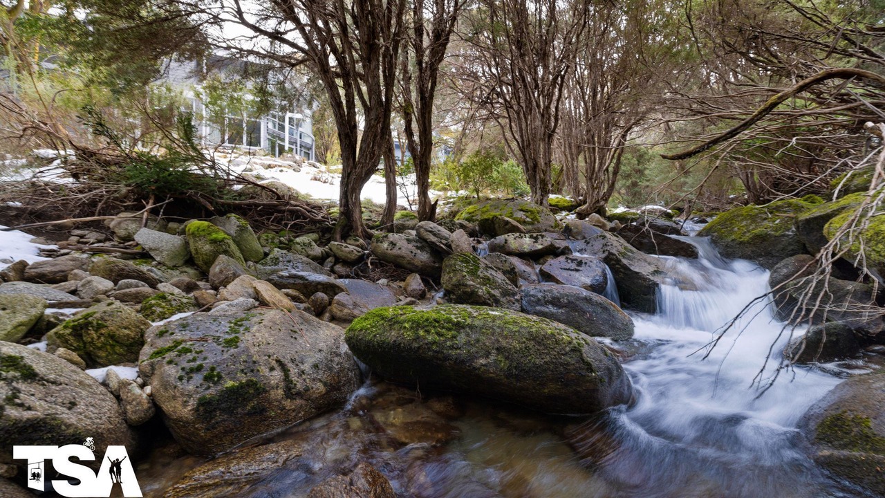 Photo of Others in Thredbo
