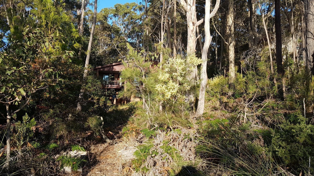 Photo of Outdoor in Lilli Pilli