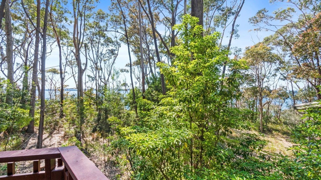 Photo of Outdoor in Lilli Pilli