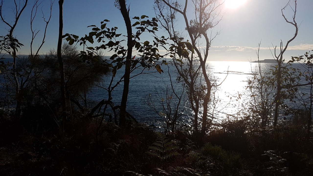 Photo of Outdoor in Lilli Pilli