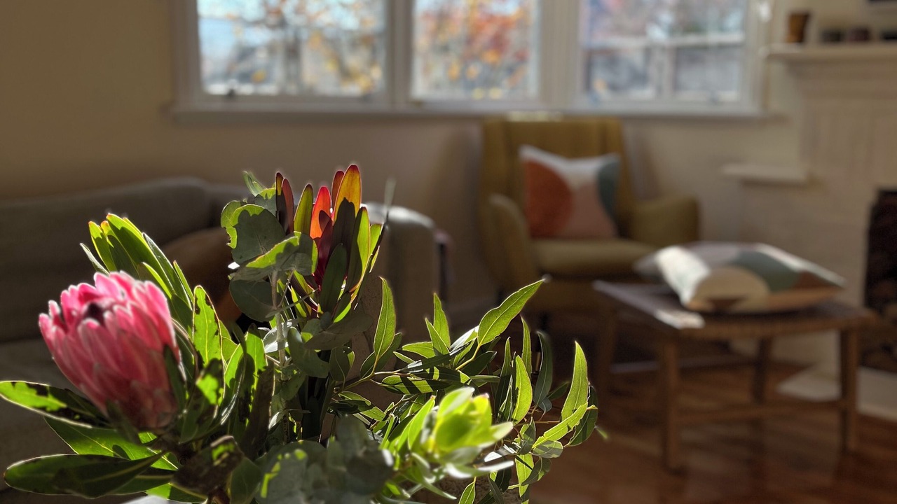 Photo of Bedroom in Wendouree