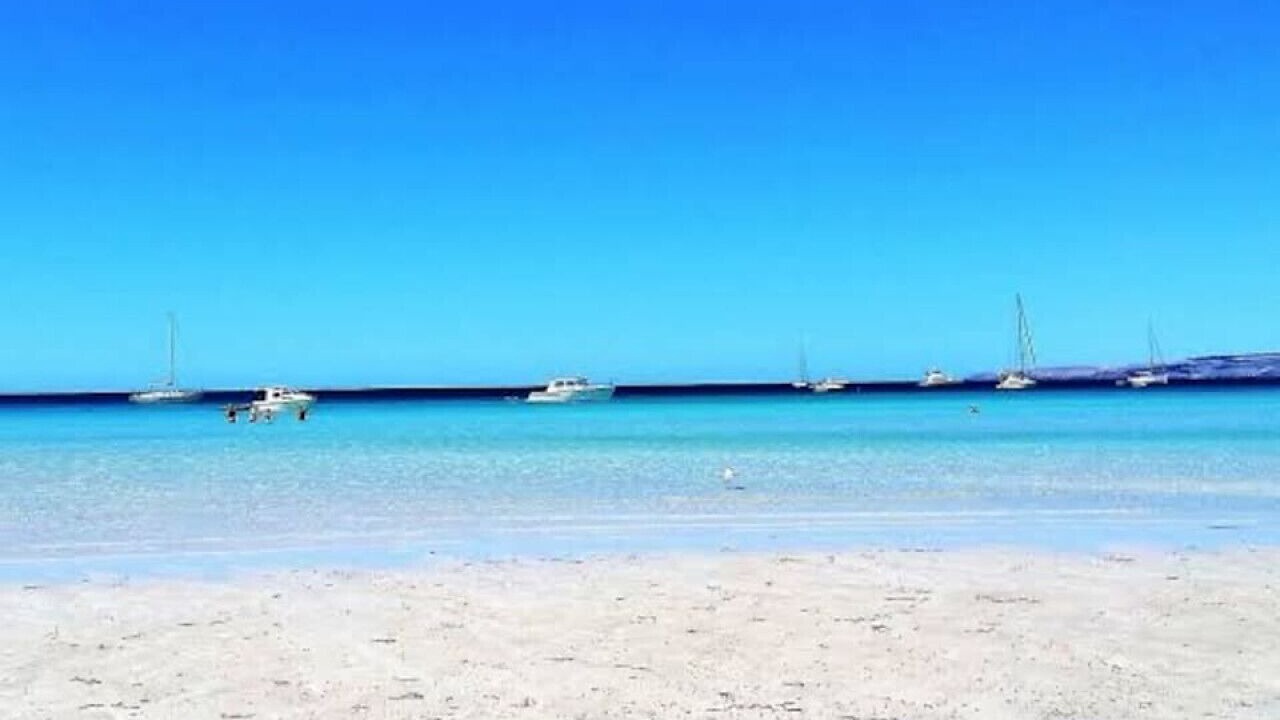 Photo of Others in Island Beach