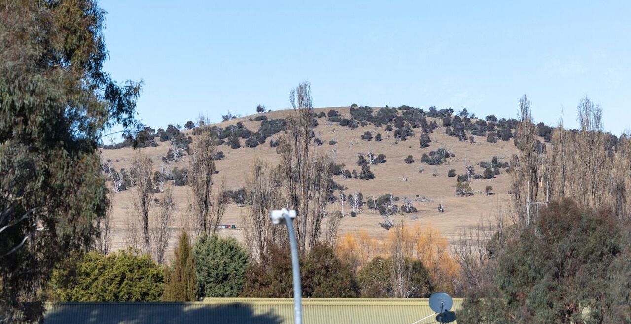 Photo of Others in Berridale