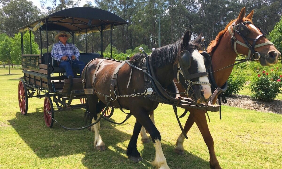 Photo of Others in Bellbird