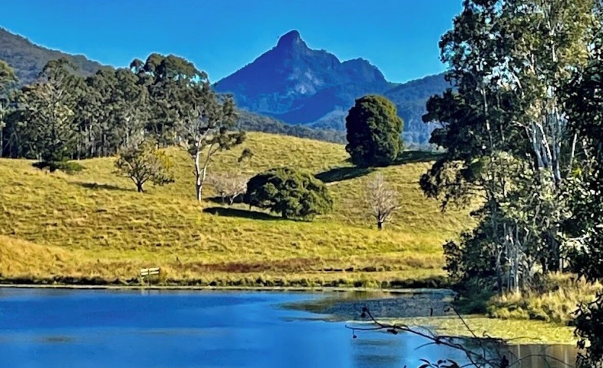 Photo of Others in Murwillumbah