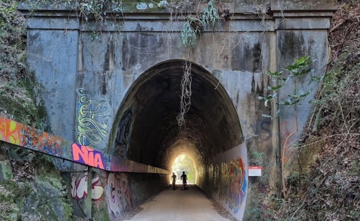 Photo of Others in Murwillumbah