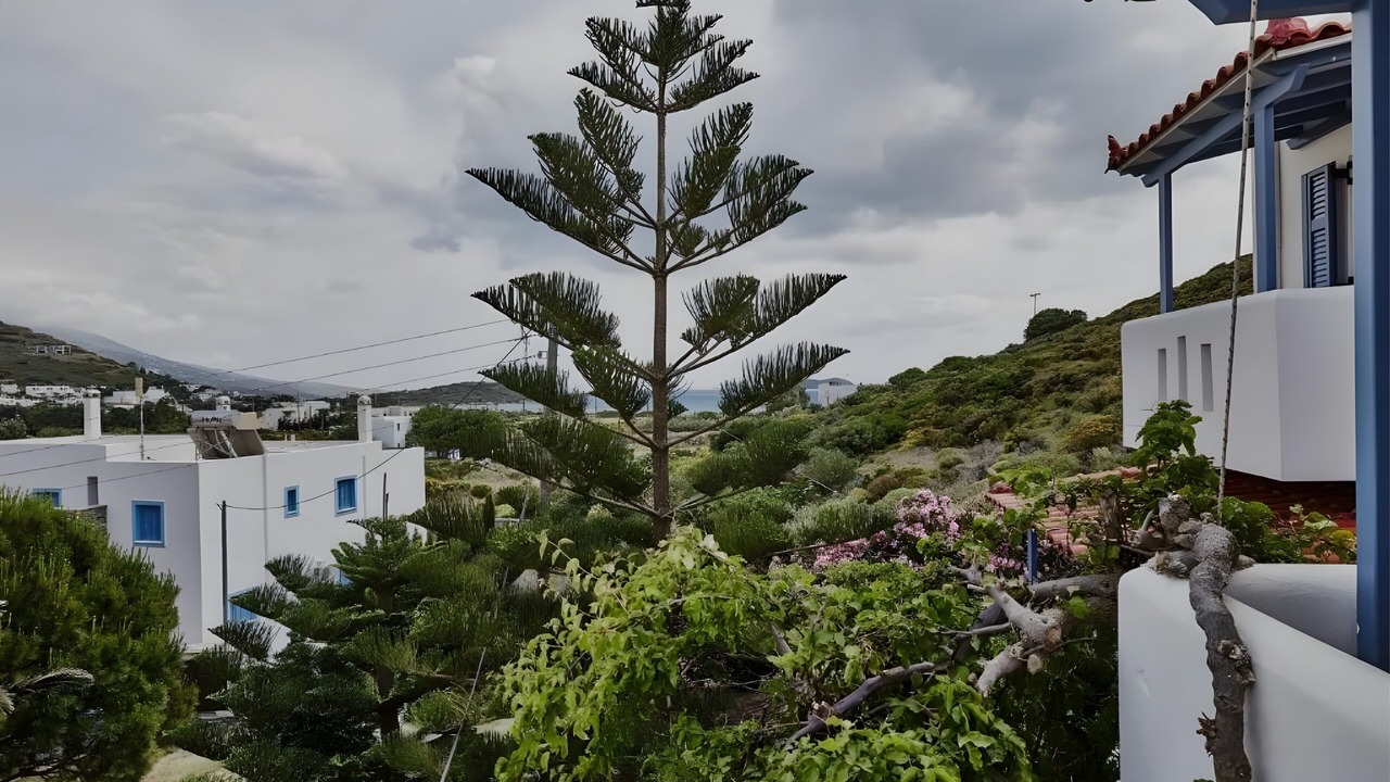 Photo of Outdoor in Gavrio