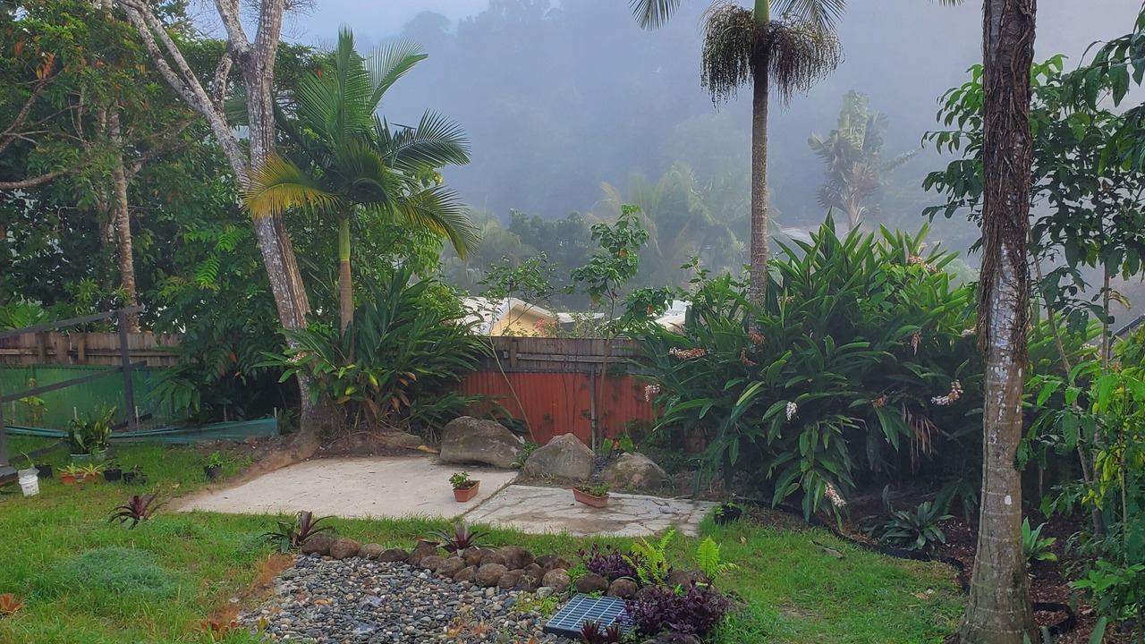 Photo of Outdoor in Kuranda