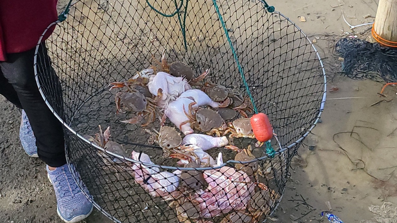 Photo of Others in Paynesville