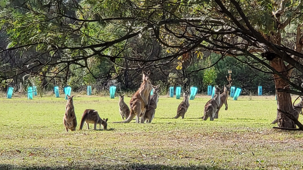Photo of Others in Paynesville