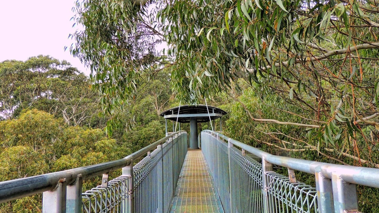Photo of Others in Kiama