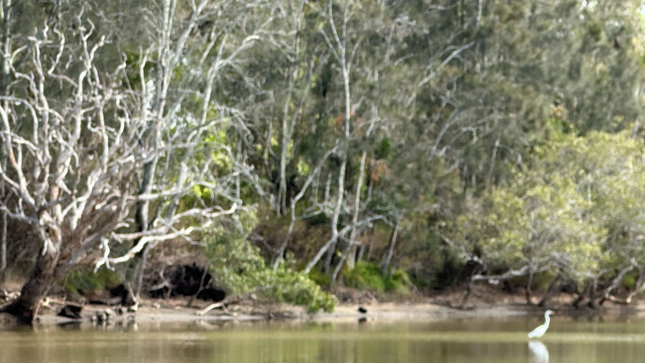Photo of Others in Arrawarra Headland
