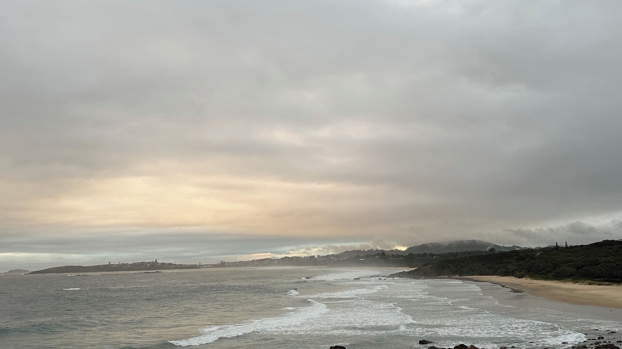 Photo of Others in Arrawarra Headland