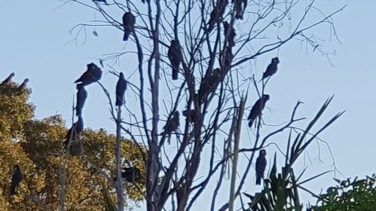 Photo of Others in Barrabup
