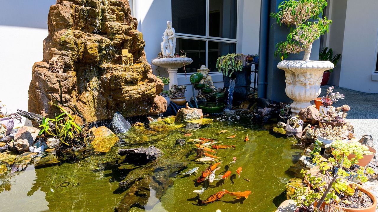 Photo of Others in Helensvale