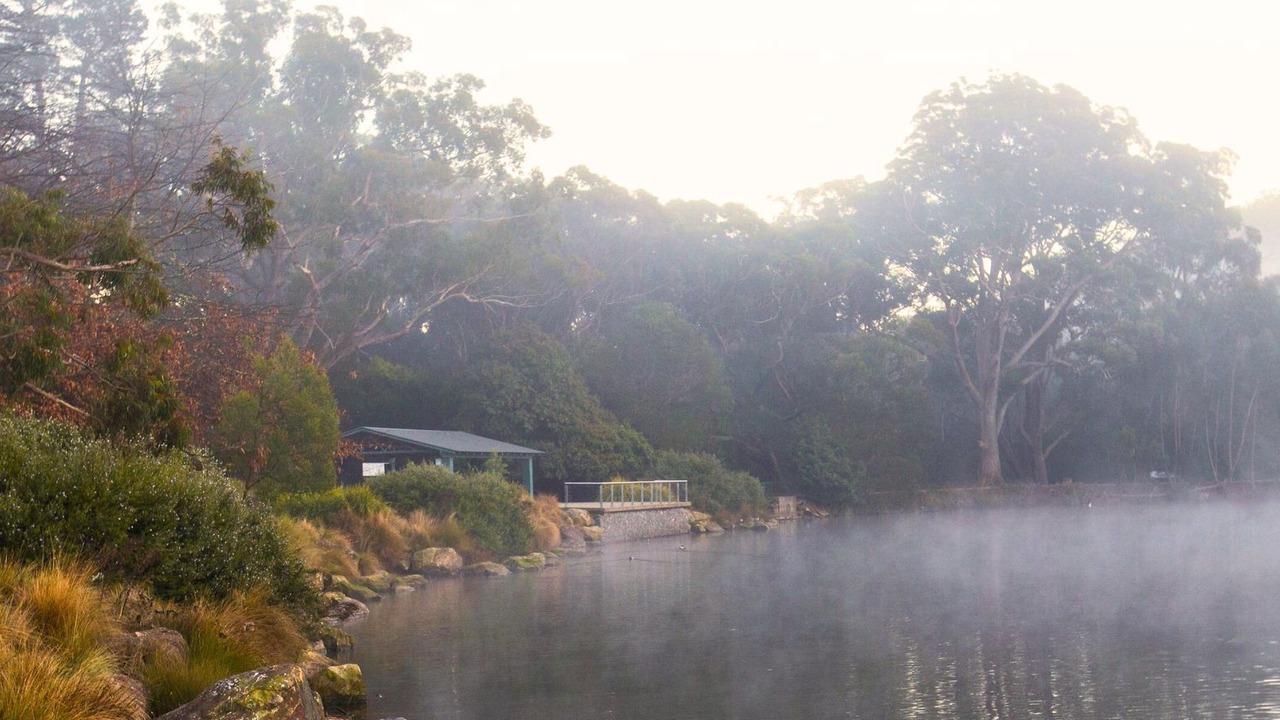 Photo of Others in Mittagong