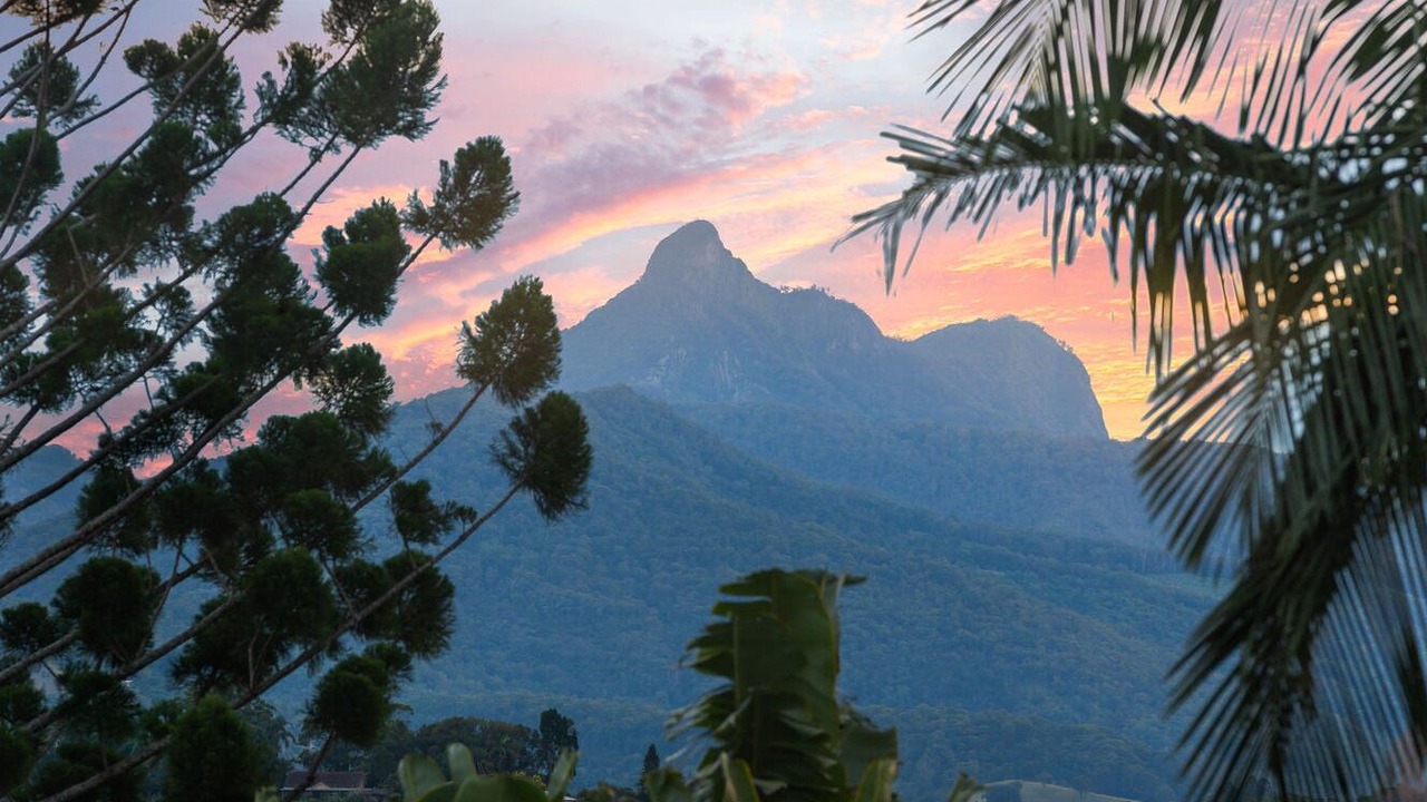 Photo of Others in Murwillumbah