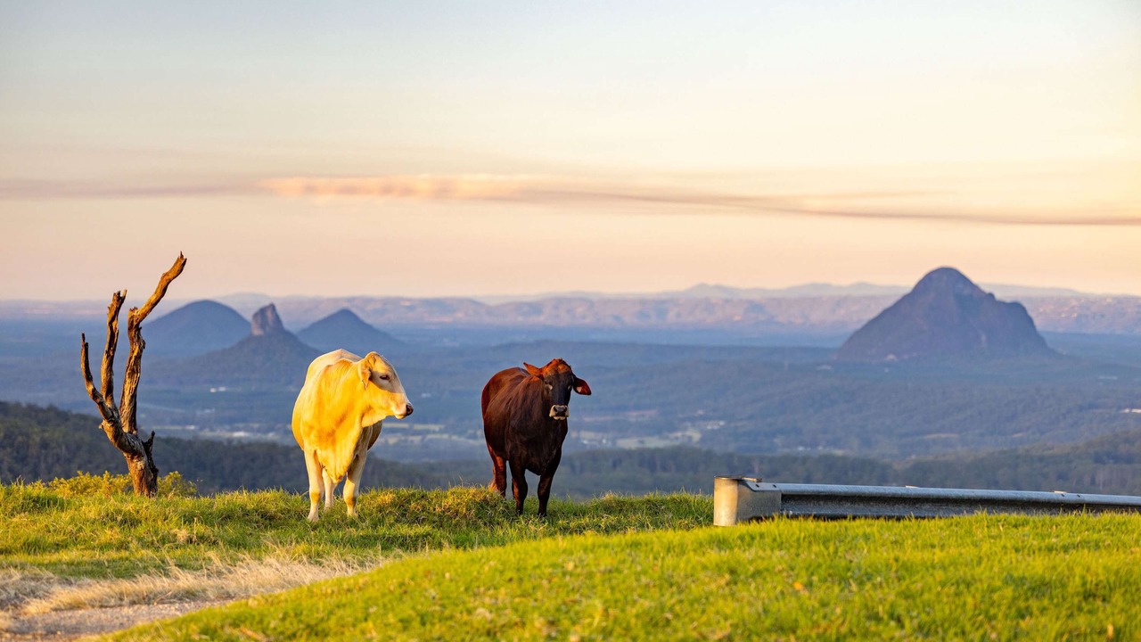 Photo of Others in Bald Knob