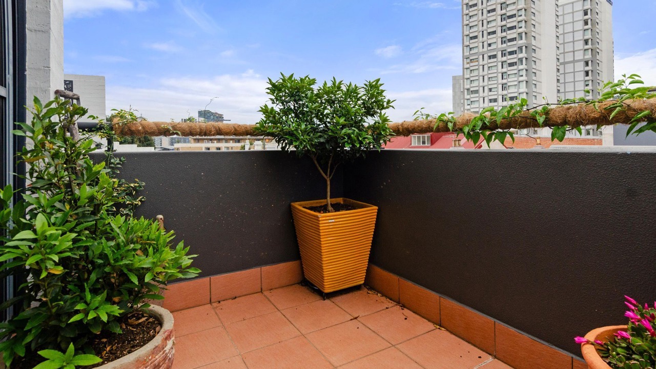 Photo of Outdoor in Redfern