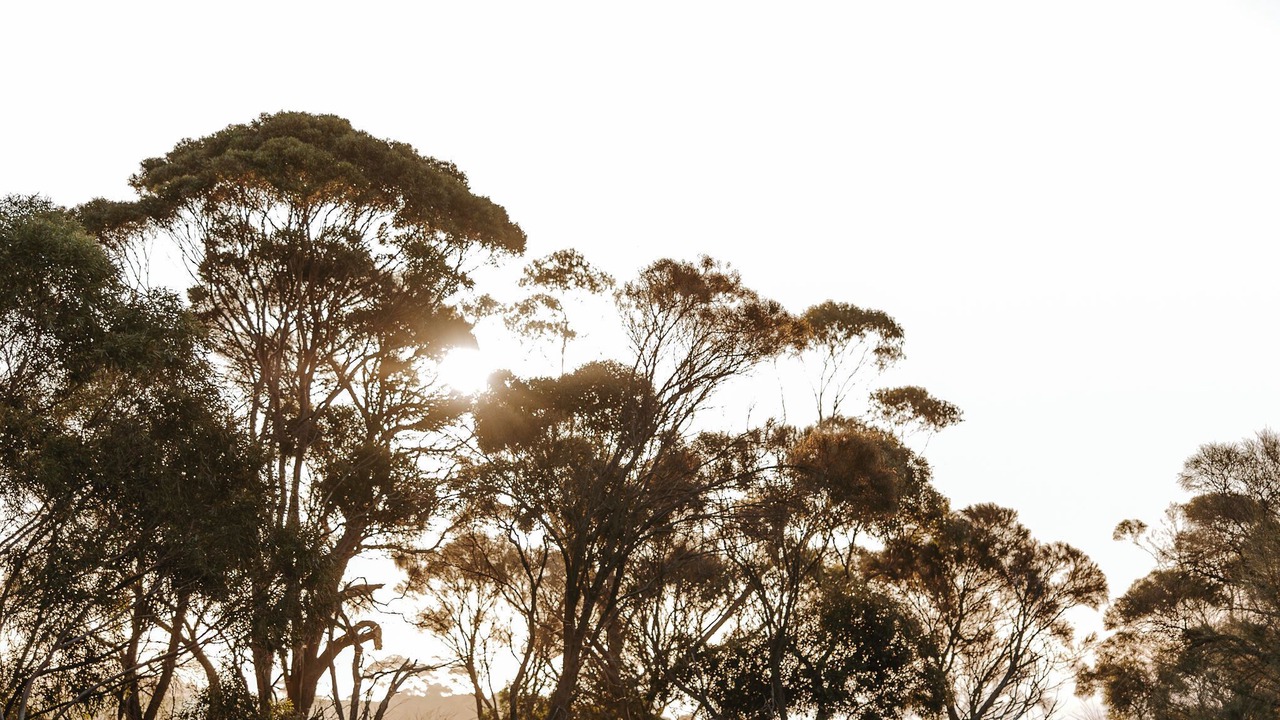 Photo of Outdoor in Penneshaw